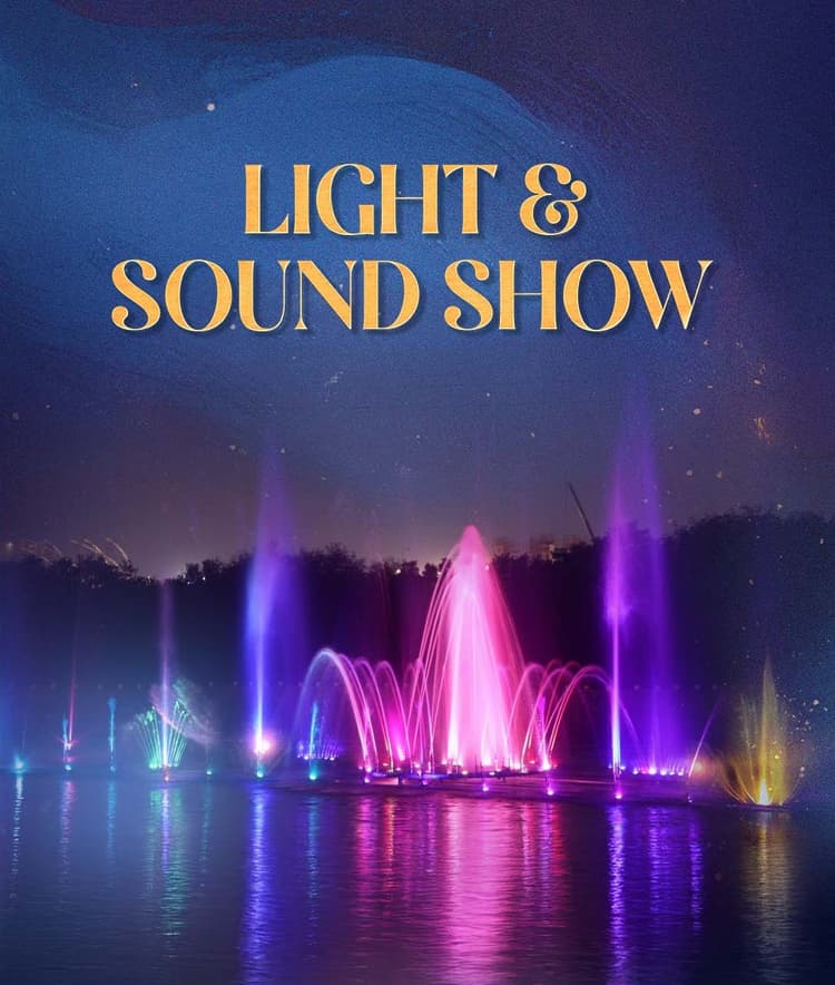 Light & Sound Show
